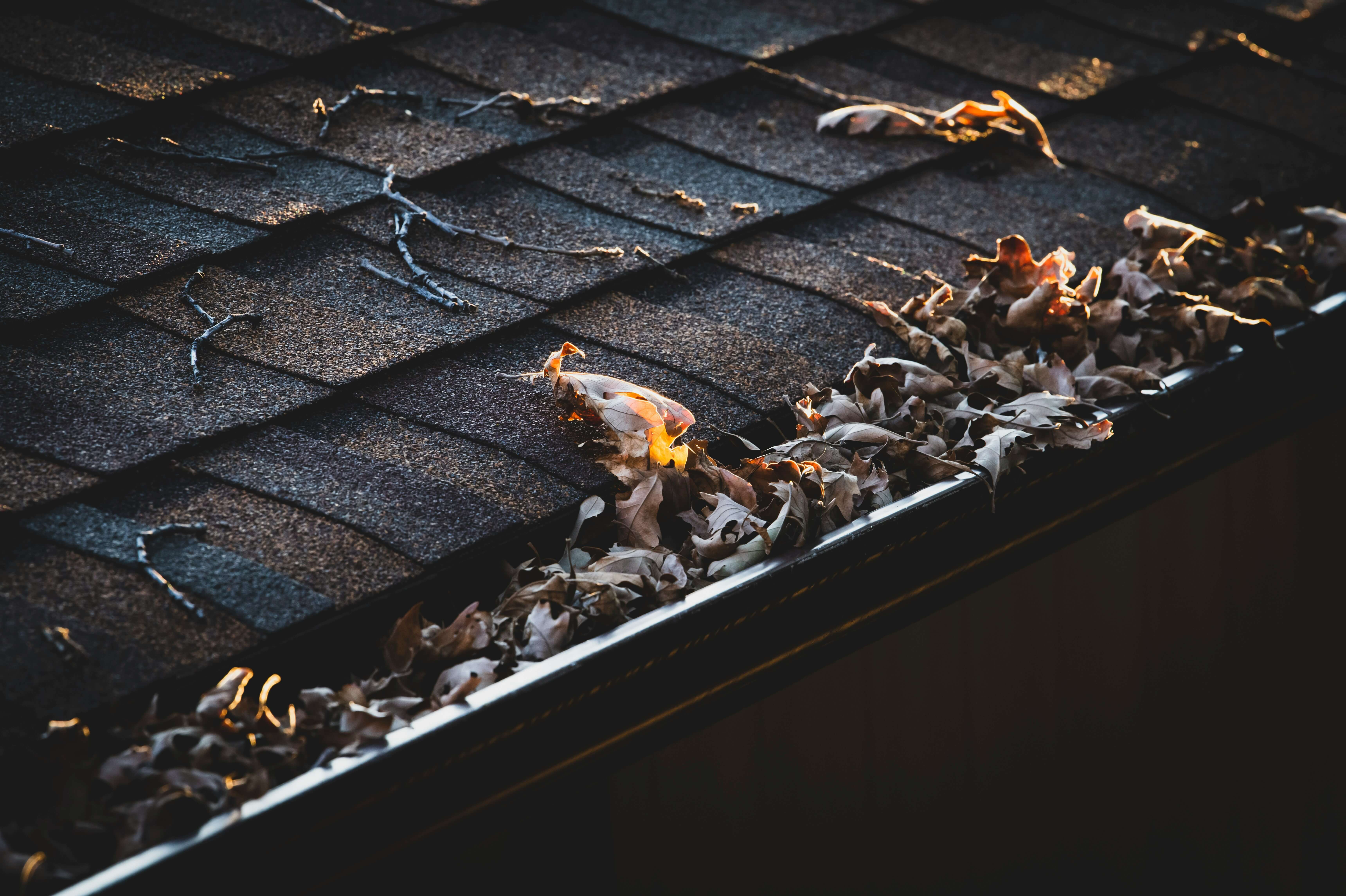 Gutter services