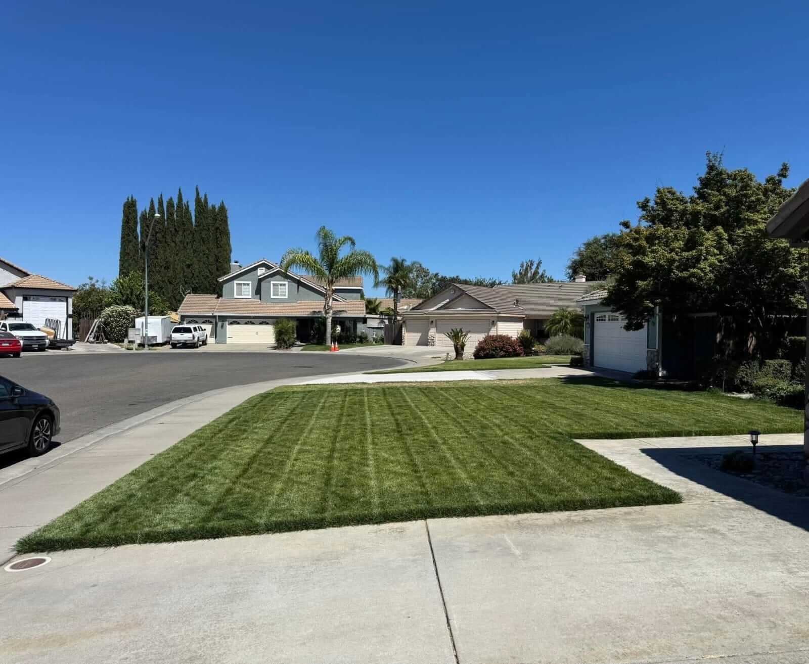 Landscaping transformation 1