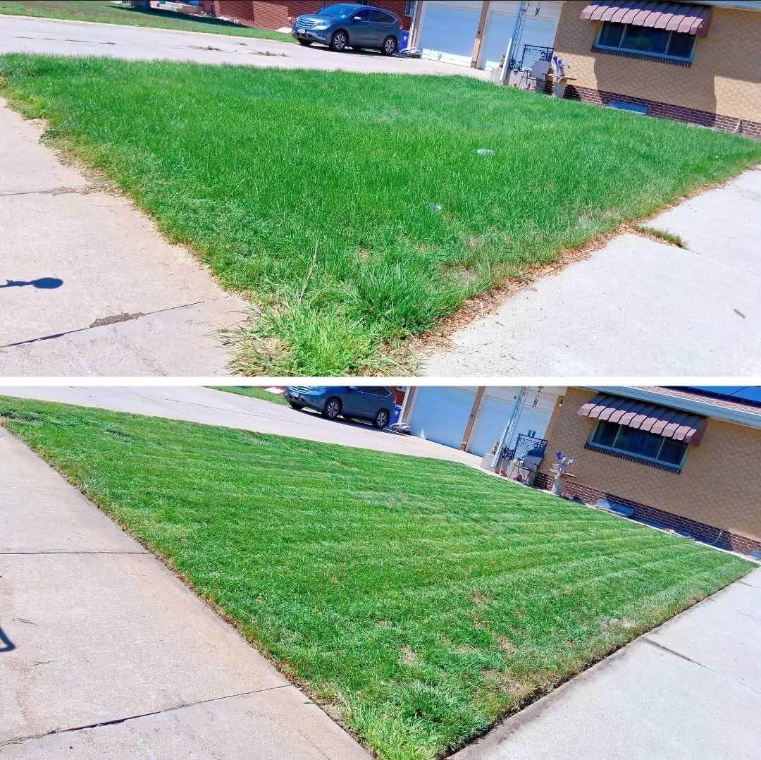 Landscaping transformation 5