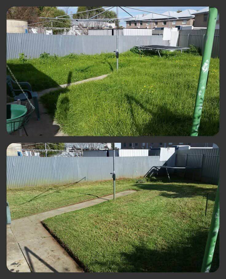 Landscaping transformation 7