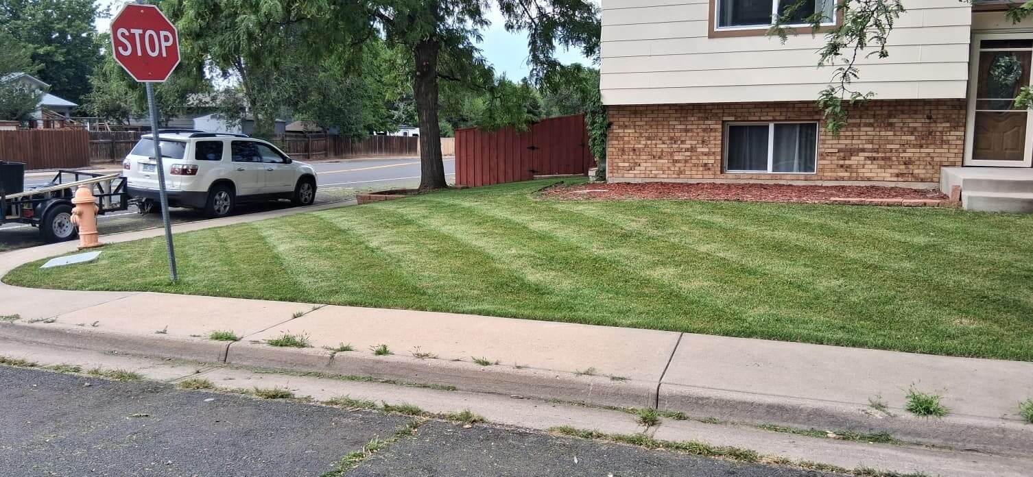 Landscaping transformation 8
