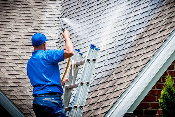 Power washing and fence services